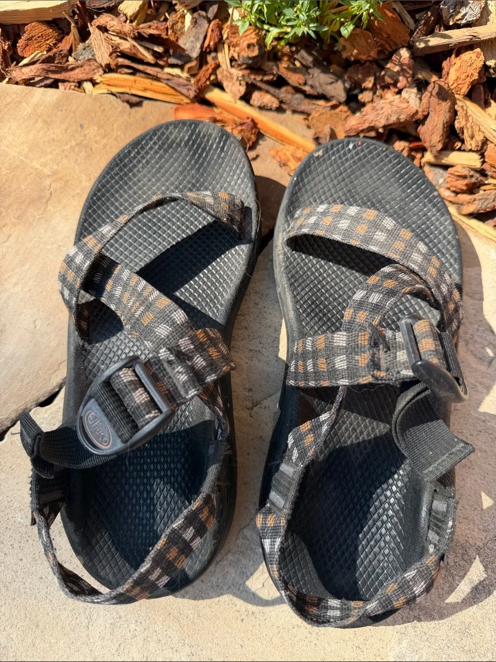 Chaco Black Sandals with Brown Check Straps